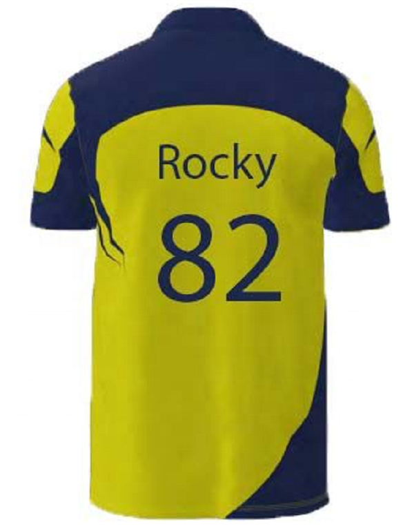 2022 sublimation printing Customized sports full hand cricket jersey design