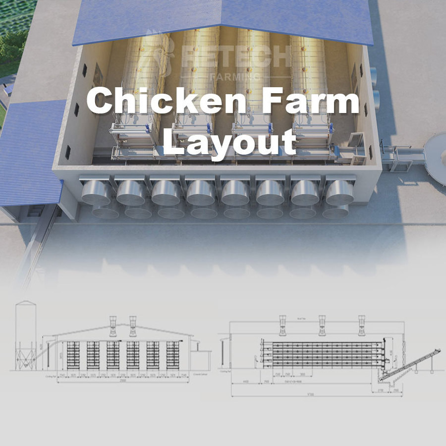 Automatic broiler poultry farms equipment chicken cage for sale