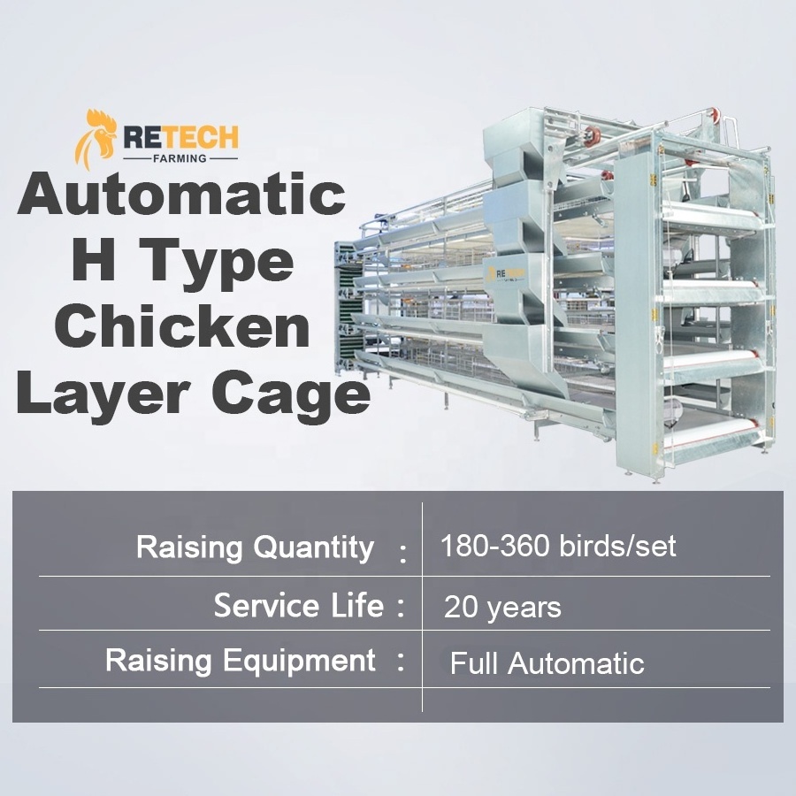 Automatic Egg Layer Chicken Cage For South Africa Poultry Farm Chicken House