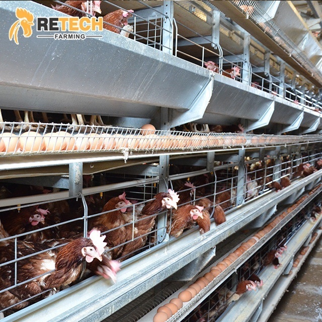 Poultry Farm Equipment Automatic Chicken Layer Battery Cage for Sale