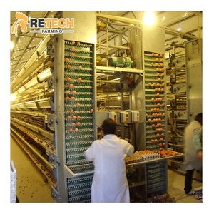 Poultry Farm Equipment Automatic Chicken Layer Battery Cage for Sale