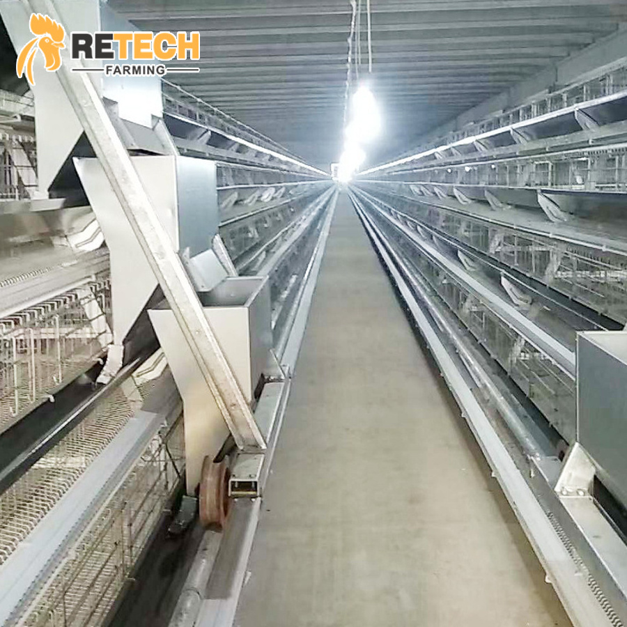 Full Automatic Water Nipple A Shape Chicken Layer Cage with Conveyor Belt in Uganda Poultry