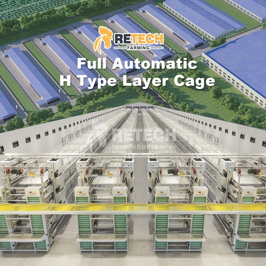 Automatic Egg Layer Chicken Cage For South Africa Poultry Farm Chicken House