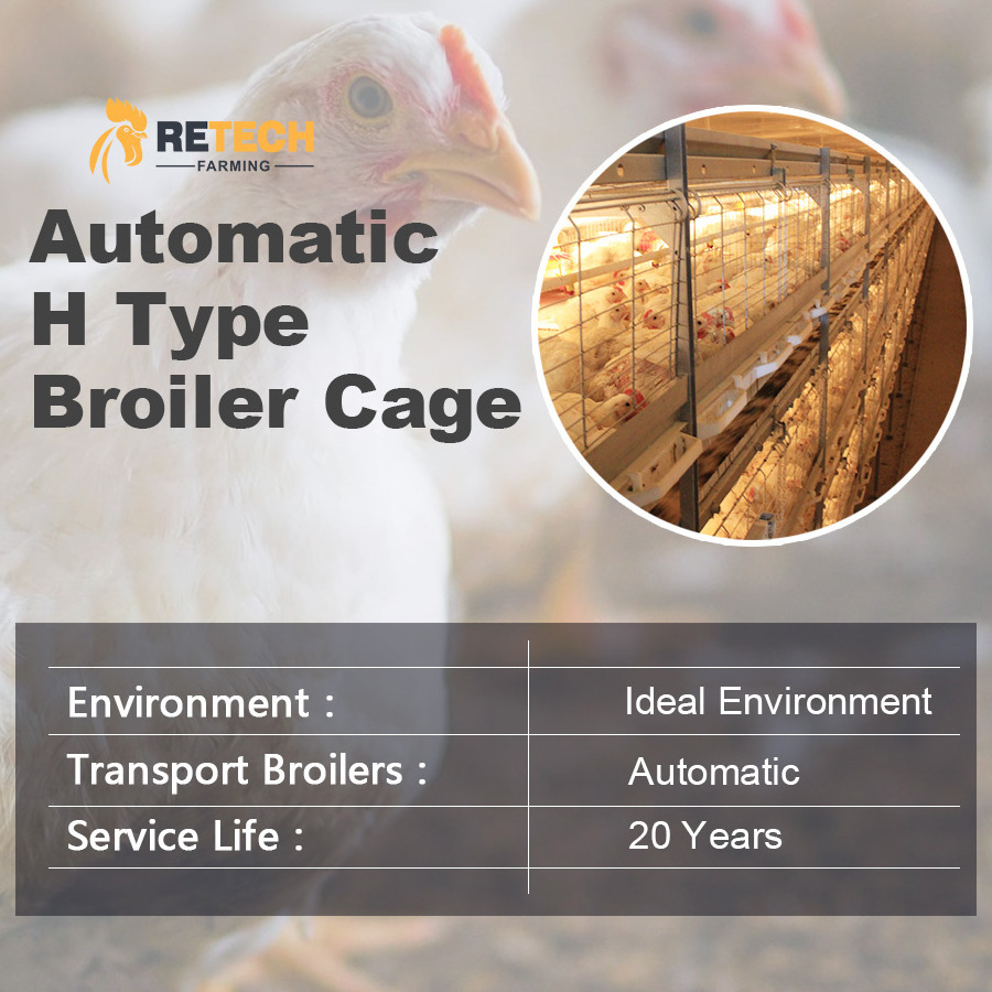 Automatic broiler poultry farms equipment chicken cage for sale