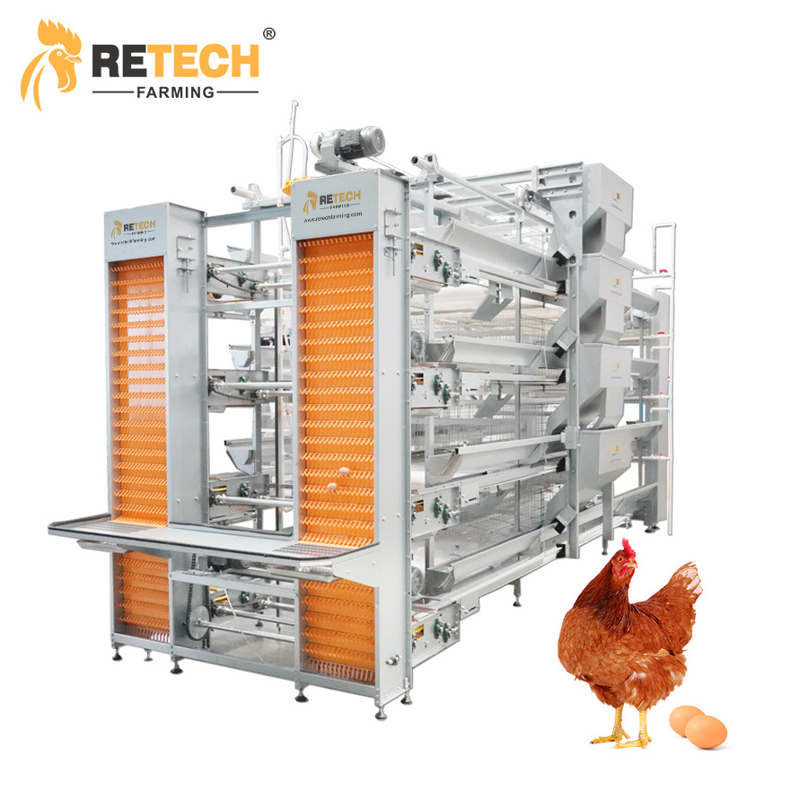 Automatic Egg Layer Chicken Cage For South Africa Poultry Farm Chicken House