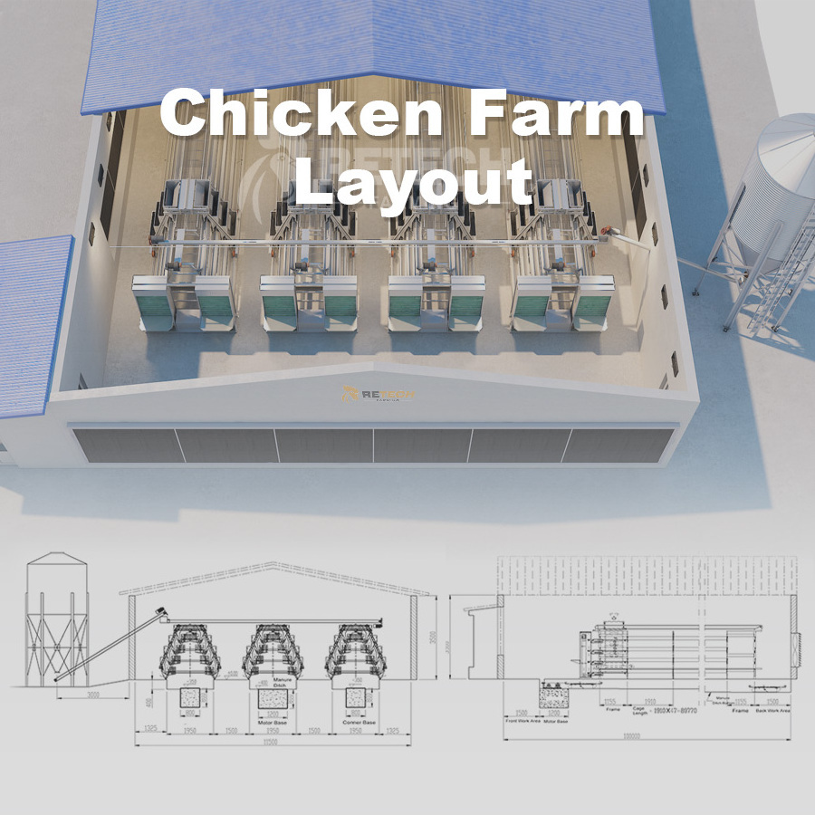 Full Automatic Water Nipple A Shape Chicken Layer Cage with Conveyor Belt in Uganda Poultry