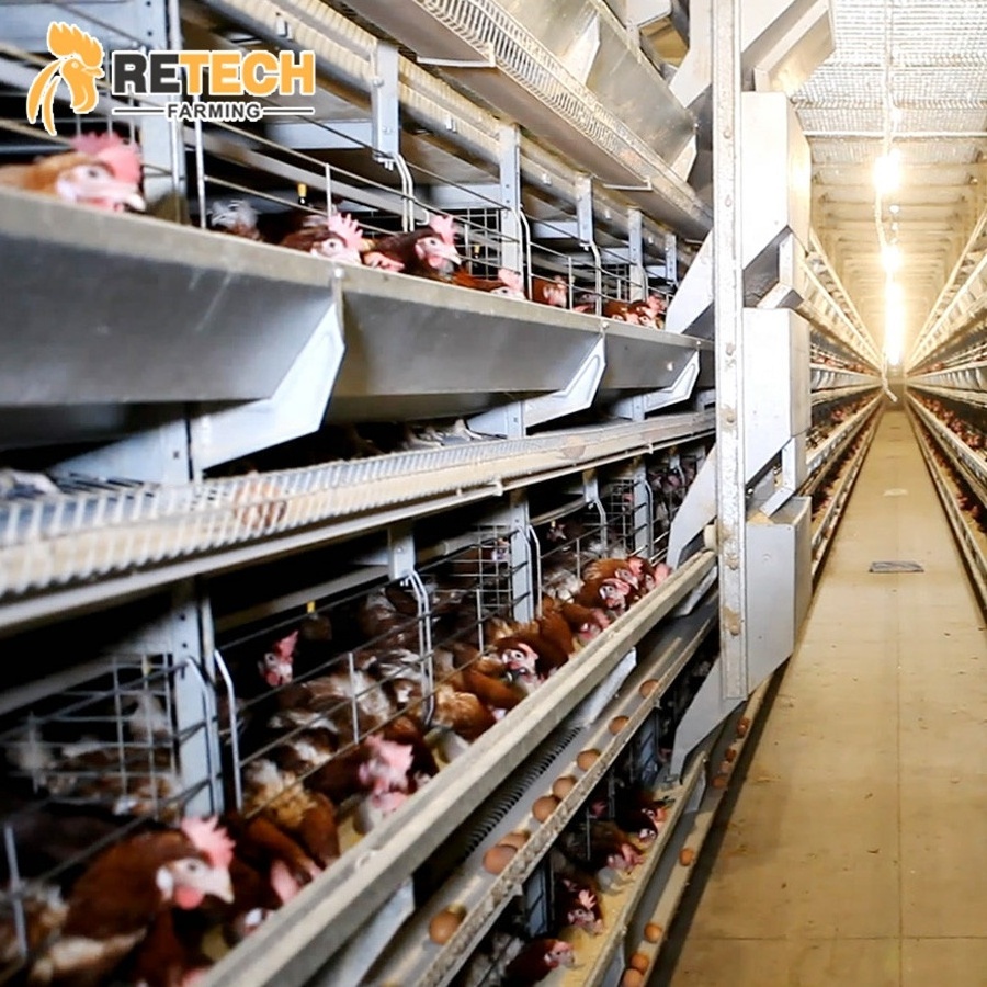 Poultry Farm Equipment Automatic Chicken Layer Battery Cage for Sale