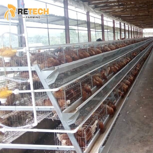 A Type 3 Tiers 96 Birds Layer Poultry Farm Battery Chicken Cage with automatic nipple drinker in Kenya