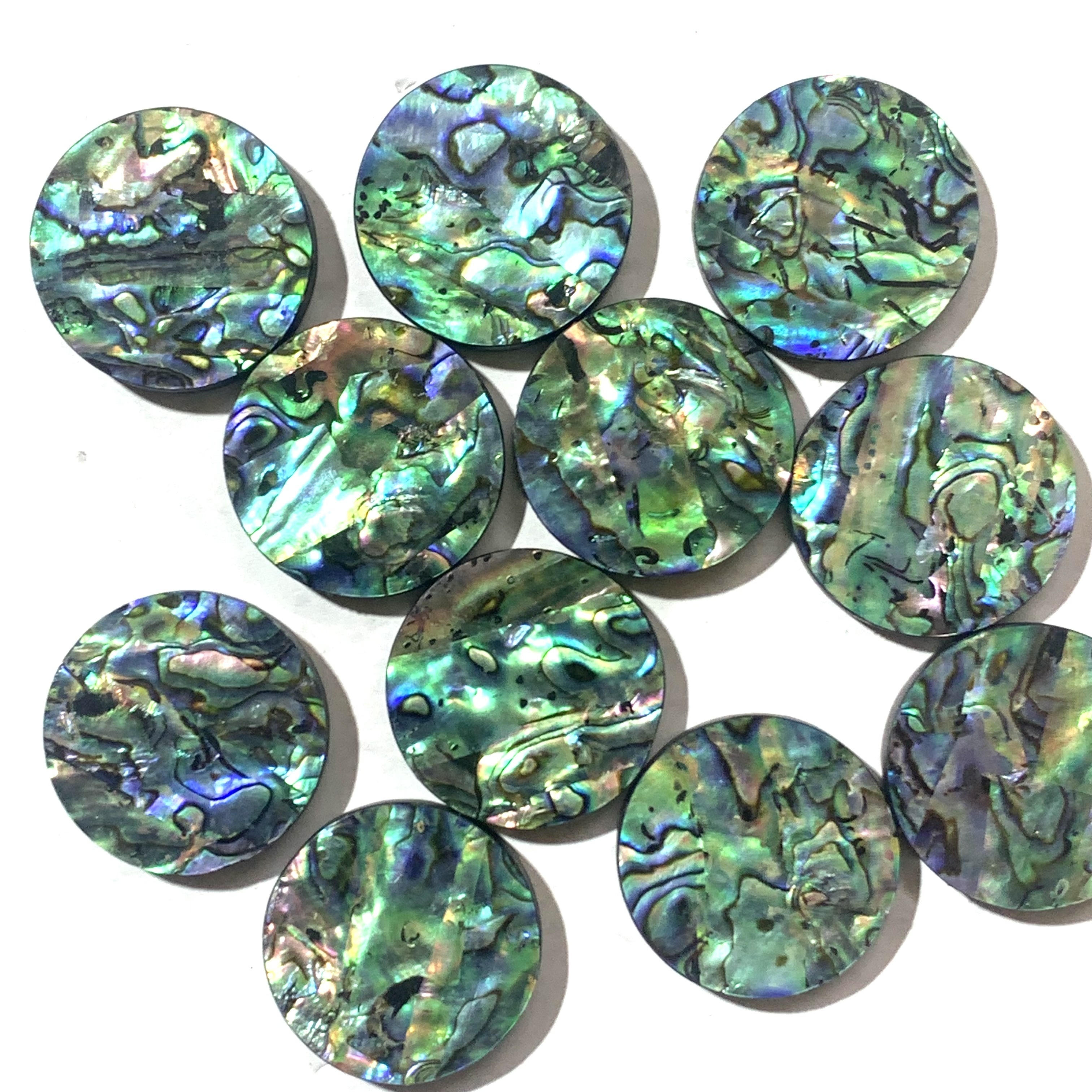 Natural abalone shell 16mm round Cabochon loose gemstone Paua Abalone Shell for jewelry