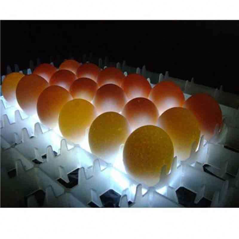 China Poultry chicken duck goose egg fertility tester table 88 egg capacity for sale