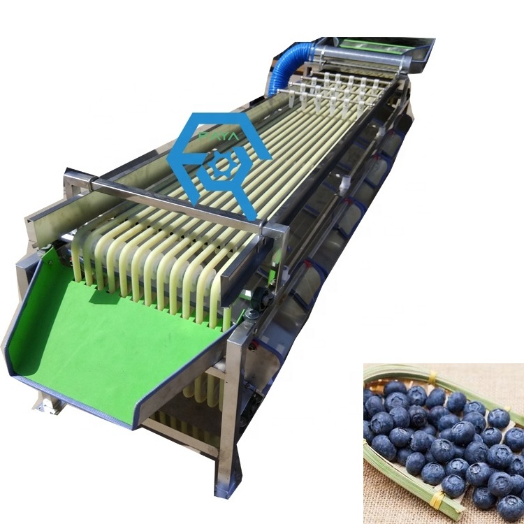 High efficiency Cherries Jujube size grading sorting machine Olive Grade Sorting Machine Price