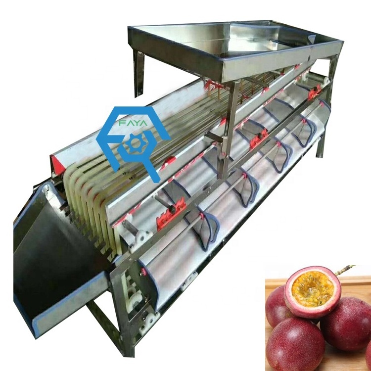 High efficiency Cherries Jujube size grading sorting machine Olive Grade Sorting Machine Price