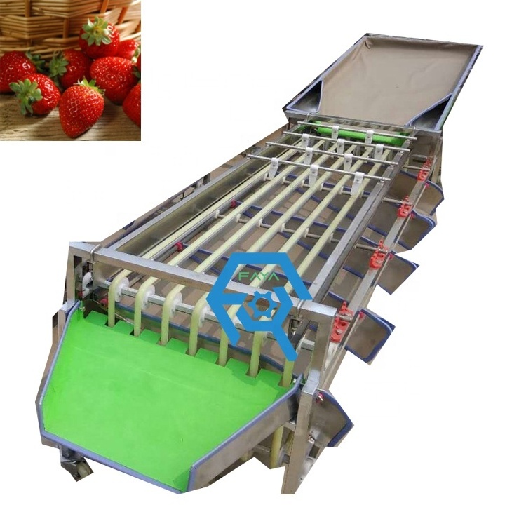 High efficiency Cherries Jujube size grading sorting machine Olive Grade Sorting Machine Price