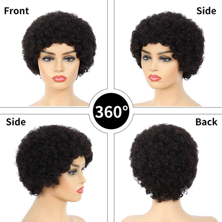 Cheap 150% Density Eurasian Double Drawn Afro Curly Vietnamese Bundles Pixie Curls Virgin Human Hair Lace Curl Short Wigs