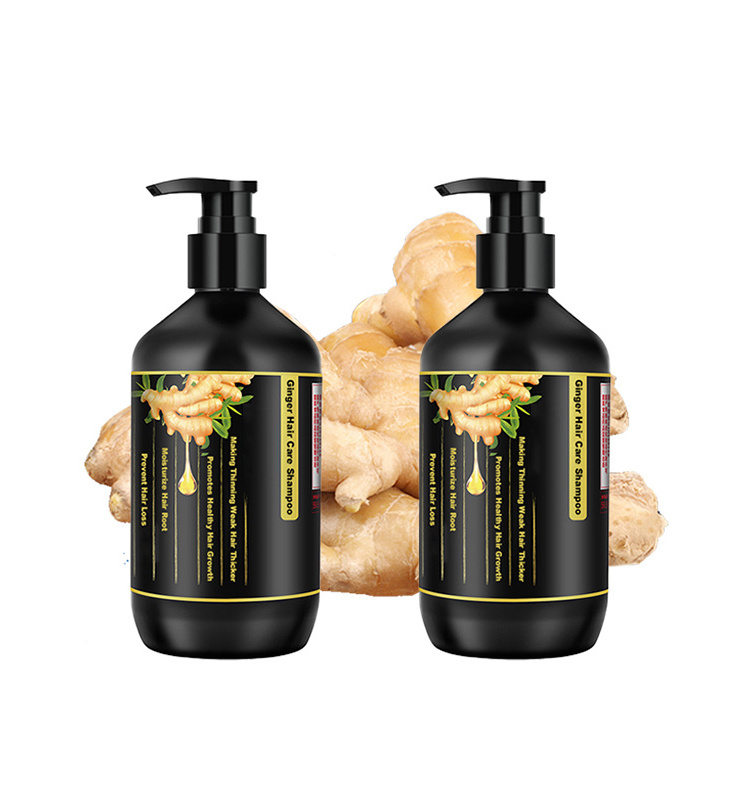 Wholesale Private Label Sulfate Free Paraben Free Argan Oil Hair Care Ginger Shampoo Set