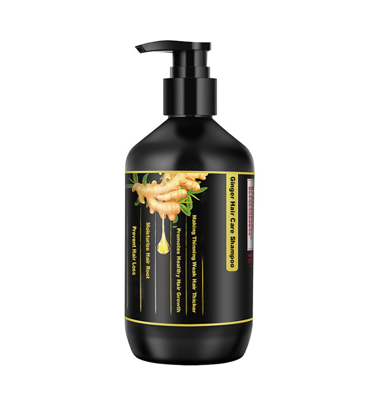 Wholesale Private Label Sulfate Free Paraben Free Argan Oil Hair Care Ginger Shampoo Set