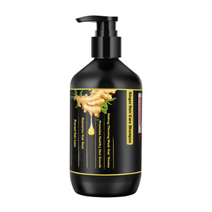 Wholesale Private Label Sulfate Free Paraben Free Argan Oil Hair Care Ginger Shampoo Set