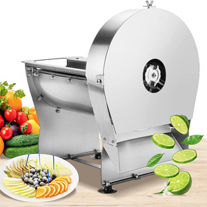 Hot Selling Commercial Large Capacity Multifunctional Vegetable Cutter Slicer/Industrial Fruit and Vegetable Cutter