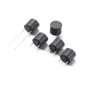 FBMF1001 Good Quality T2A T3.15A T5A T6.3A T10A 250V Black Miniature Time Lag Micro Fuse Subminiature (Time-Lag)