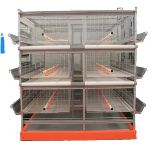 Automatic  H Type 4 Tiers Bird-Harvesting Broiler Raising Cage for Layer Chicken Raising Poultry Farm