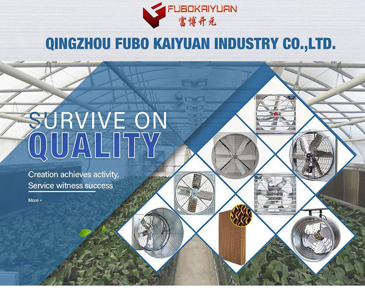 Livestock Chicken Floor Raising Poultry Farm Equipment with Pan Feeding System