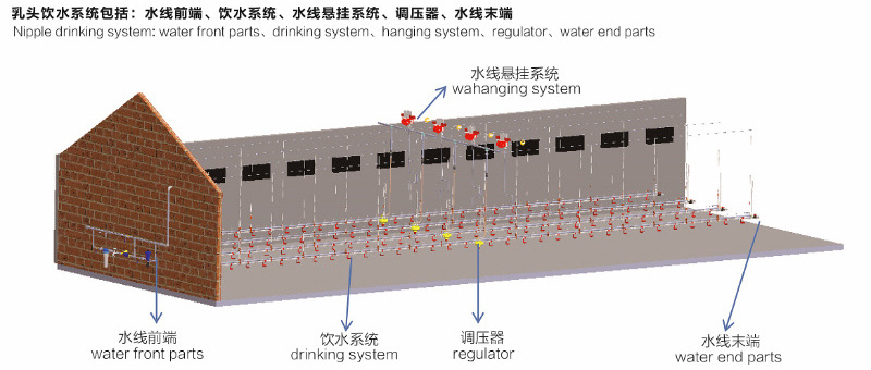 Livestock Chicken Floor Raising Poultry Farm Equipment with Pan Feeding System