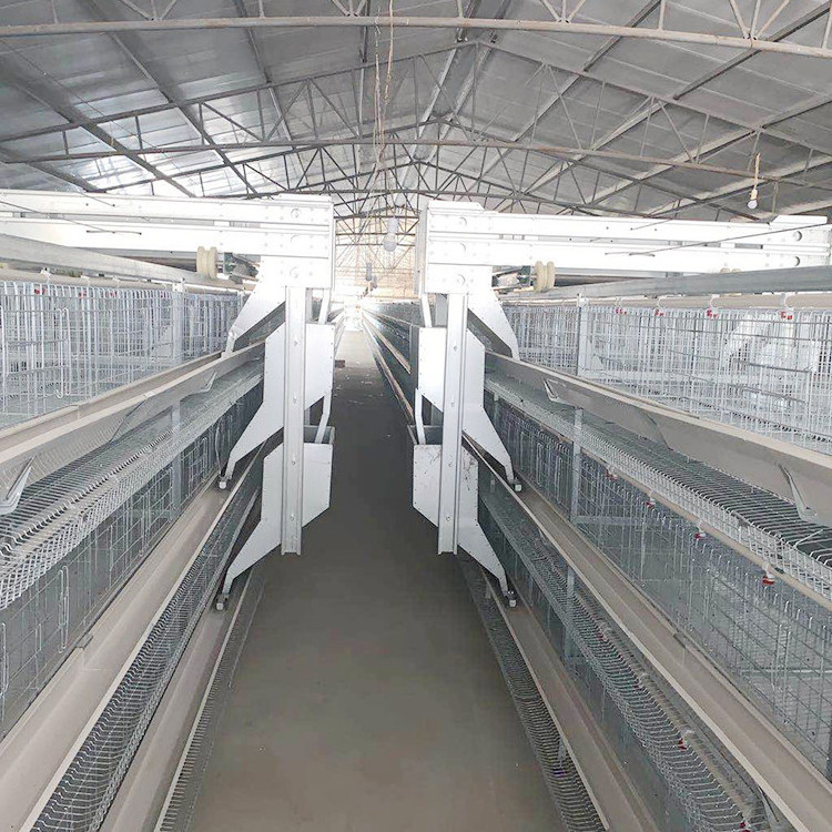 Automatic  H Type 4 Tiers Bird-Harvesting Broiler Raising Cage for Layer Chicken Raising Poultry Farm