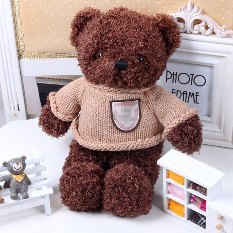 Say I love you voice recording teddy bear