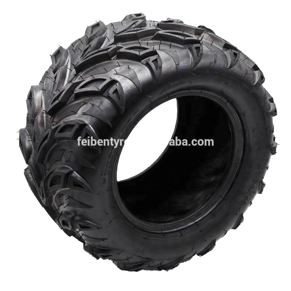 Wholesale low price Sport ATV / UTV Tires 22x10-10 FB118 for RUSSIA market