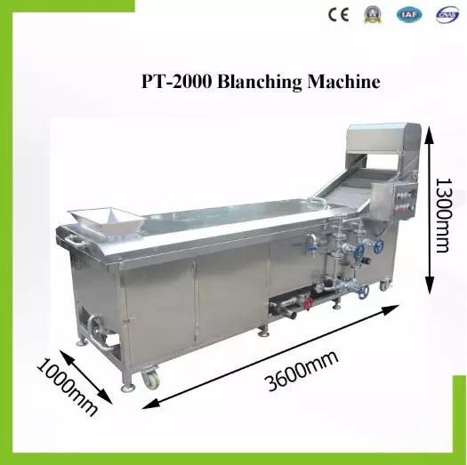 automatic vegetable blanching machine for vegetable processing