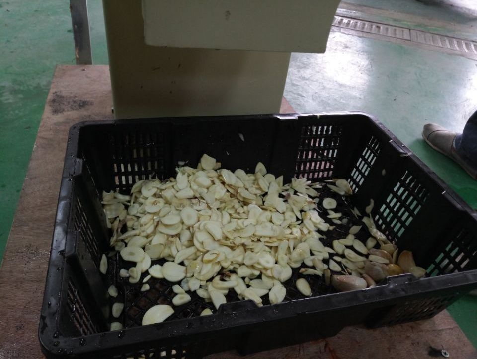 FC-315 Garlic Slicer Machine Banana Slicing Machine, Plantain Slicer, Banana Long Pieces Chips Cutter