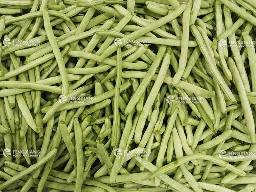 DD-250 Green Bean Top And Tail Cutting Machine Long Bean Head Tail Chopper Remove Machine