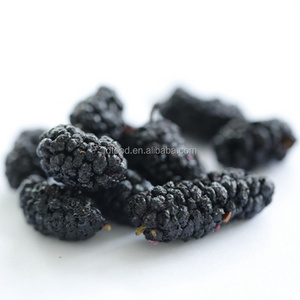 lujia wholesale freeze dried mulberry whole powder sour fruit tea FD food freeze dried fruit