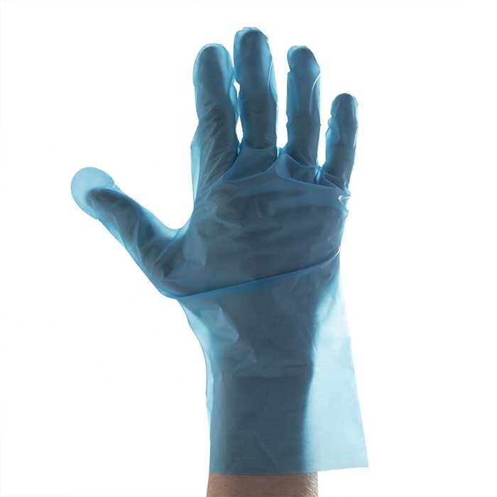 Factory Direct Sale Blue Tpe Gloves Promotional Disposable Glove