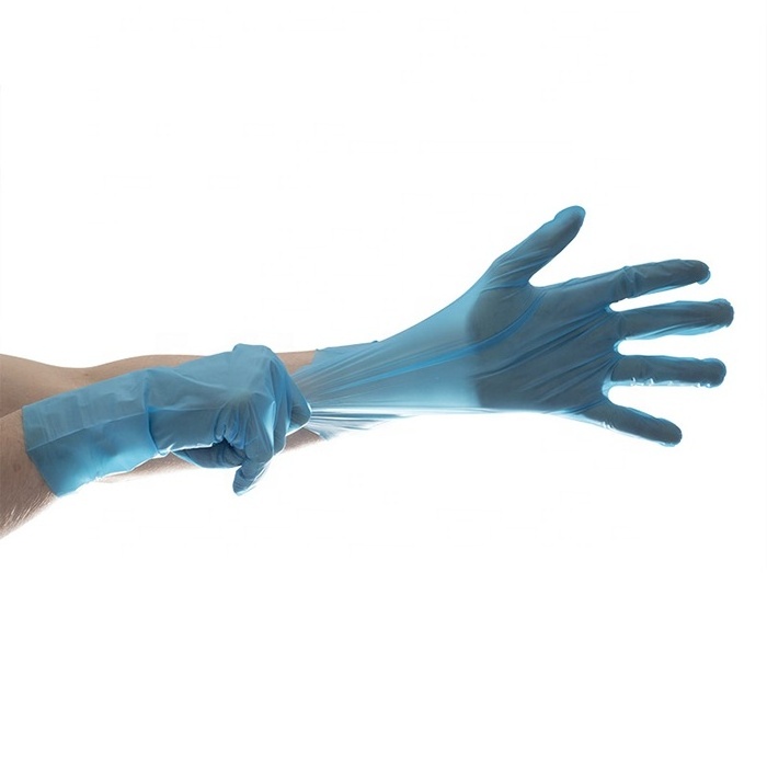 Factory Direct Sale Blue Tpe Gloves Promotional Disposable Glove