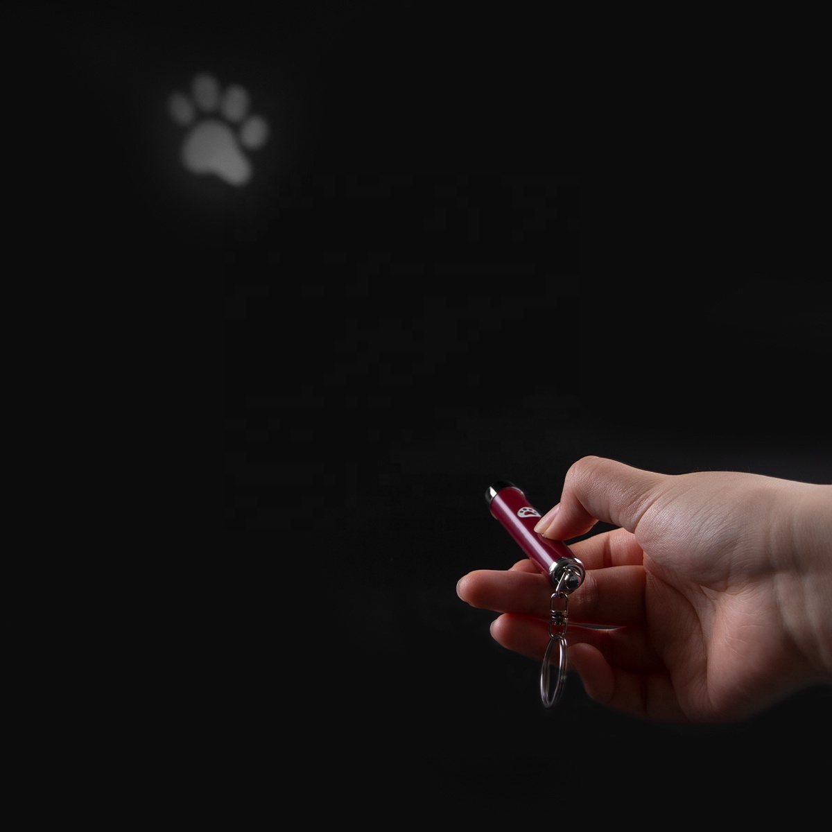 Manufacturer Interactive Cat Laser Pointer LED Projector Keychain