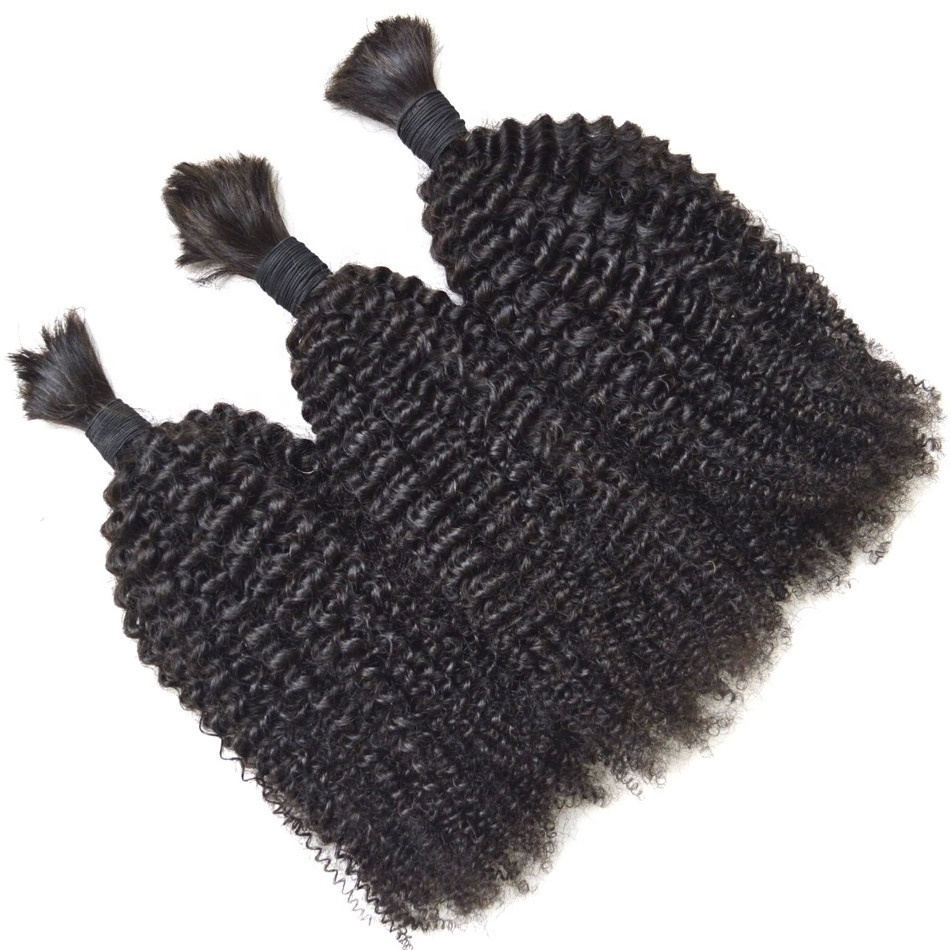 2024 New Arrival Brazilian virgin hair afro 4c mongolian kinky curly hair bulks natural black 4b human hair for braiding