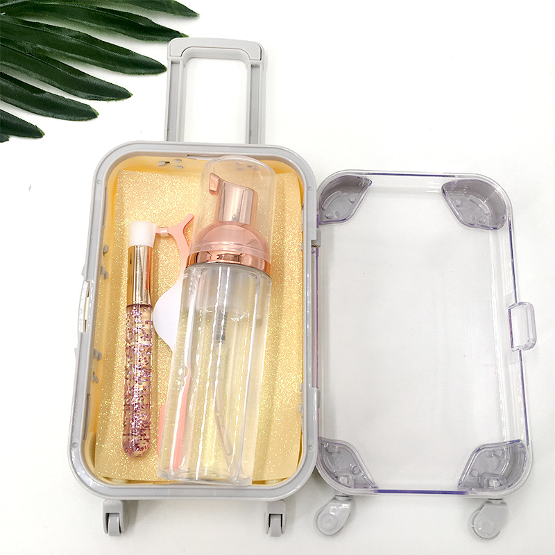 Wholesale Mini Cute Suitcase for 25mm Mink Eyelashes Custom Clear Eyelashes Box Bag Shampoo