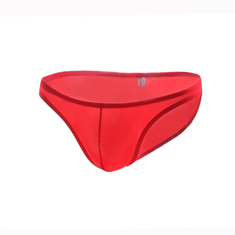 Male Gay Sexy Panty New Design Mesh Breathable Transparent Nylon Briefs Panties For Men