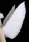 Big white feather showtake pictures props dances angel costume with wings