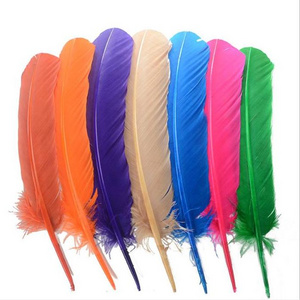 Wholesale cheap Dyed colors DIY Turkey Quill Feather For Event Decoration