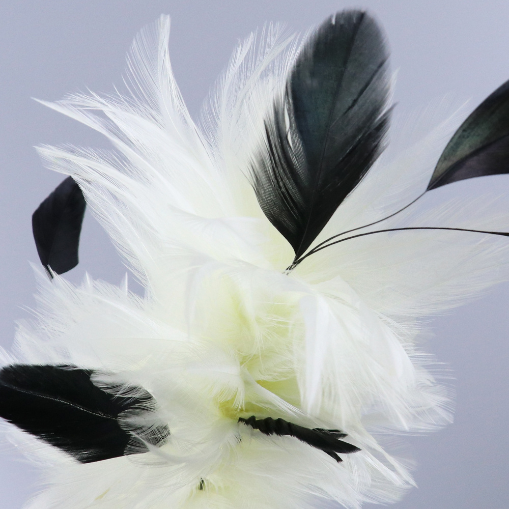 2021 new Jewelry Crafts Decoration Hats Rooster Hackle Feathers Brooch Hair Accessories Feathers Flower Decoration Crafts Plumes