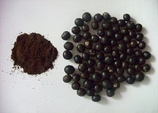 Acai Berry Powder Wholesale Bulk Vegan 100% Best Supplier Rich Fiber Pure Acai Berry