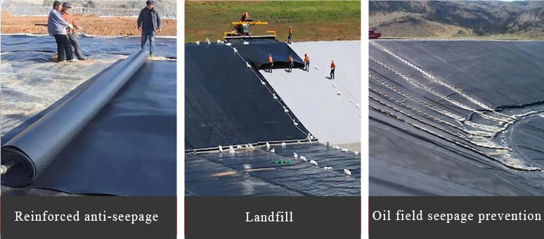 CE Certified PVC Waterproof Membrane sheet for roof and tunnel project