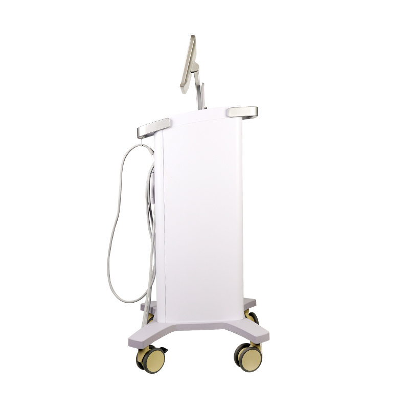 Beauty Salon Equipment 2022 New Fifth Generation Nitrogen Cooling FLX Anti Aging Treatment Fractional RF Machine