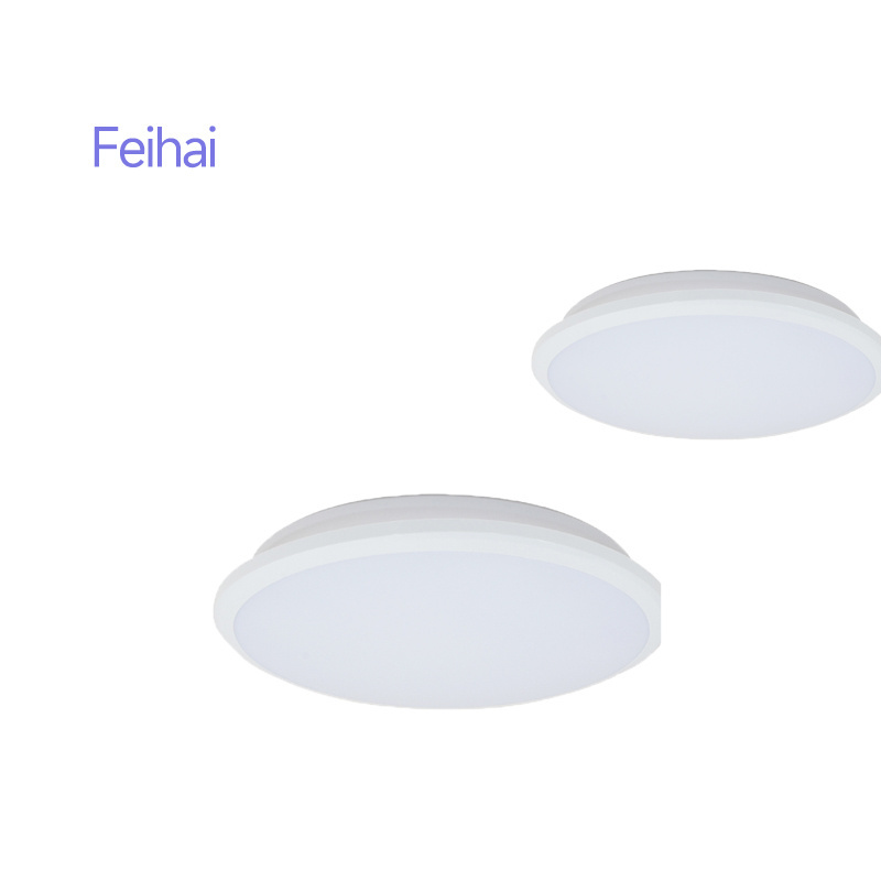 China factory direct sales dust proof cost-effective ceiling light Solar Outdoor Ceiling Light