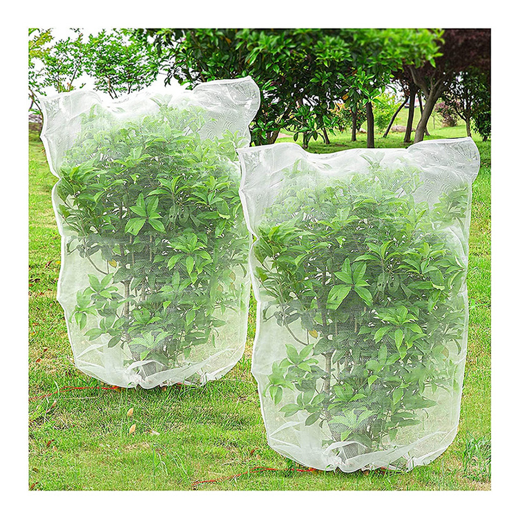 low price HDPE anti insect net tree protection bags bird net UV t reated white plastic mesh net cover protection bags