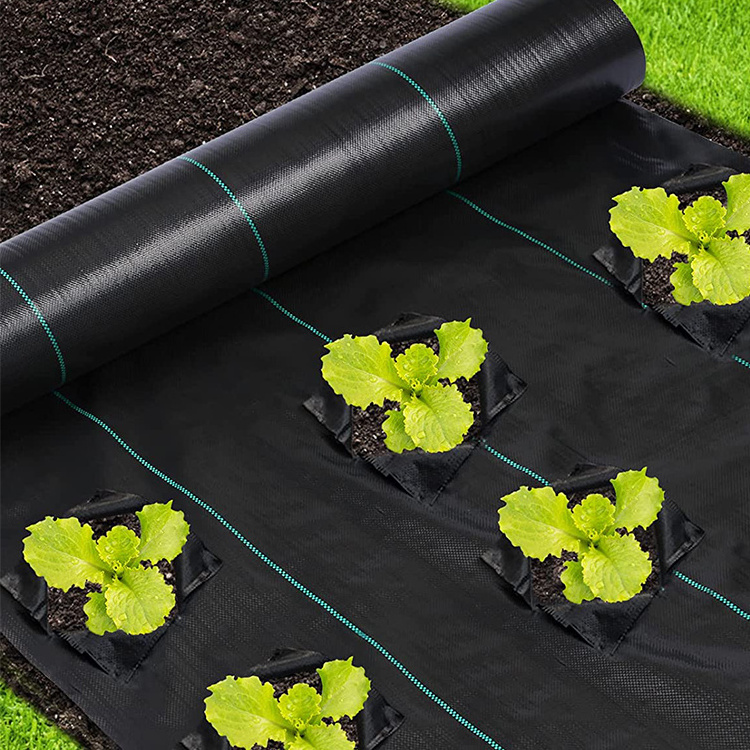 Low cost Garden ground cover fabric/PP weed barrier mat/anti weed agro weed control mat plastic