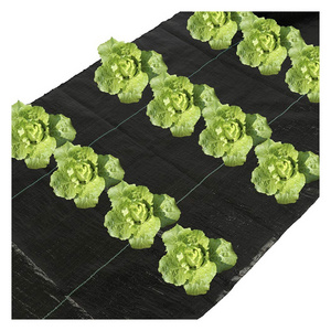 Low cost Garden ground cover fabric/PP weed barrier mat/anti weed agro weed control mat plastic