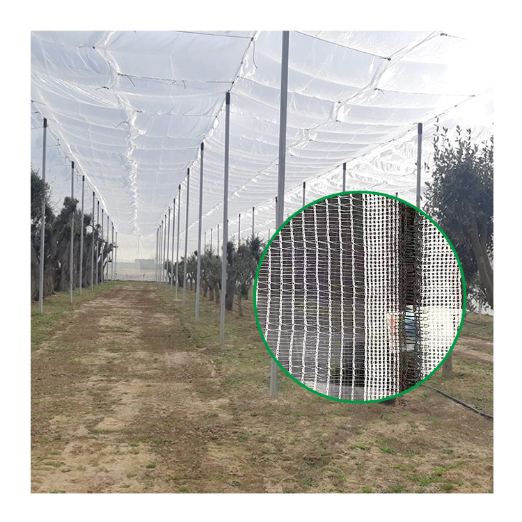 apple tree yemen 50g 45g hdpe mesh net for bee /plastic vineyard anti hail net/hail protection net for crops